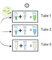 Jundishapur J Microbiol