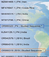 Jundishapur J Microbio