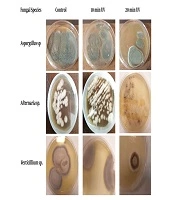 Jundishapur J Microbiol
