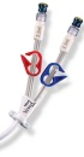 Effects of Clopidogrel on Longevity of Permanent Double-Lumen Catheter Patency in Dialysis Patients: A Single-Blind Placebo-Controlled Clinical Trial
