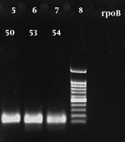 Archives of Clinical Infectious Diseases