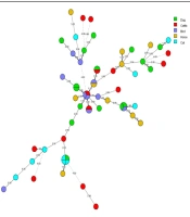 Jundishapur J Microbiol