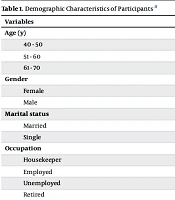 Int Cardiovasc Res J