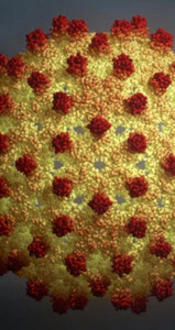 Prevalence Rate of Hepatitis B Virus in Pregnancy: Implications From a Systematic Review and Meta-Analysis of Studies Published From 2000 to 2016