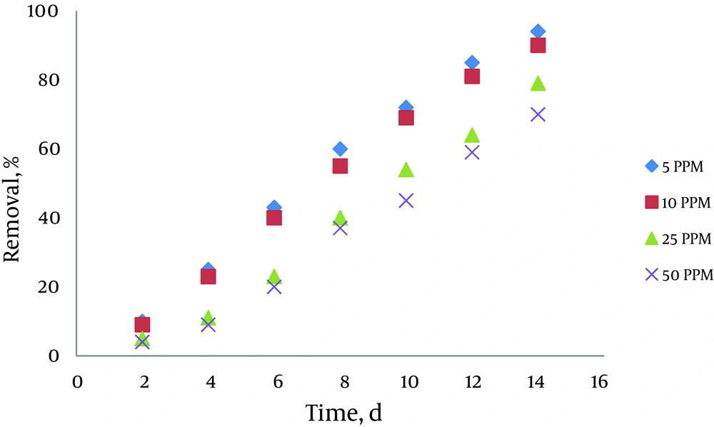 Effect of InitialPyrocatechol Concentration on Removal Efficiency Effect of InitialPyrocatechol Concentration on Removal Efficiency