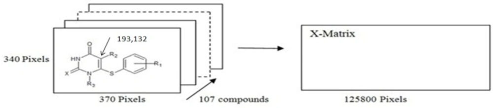 2D images and unfolding step of the 107 chemical structures to give the X-matrix. The arrow in structure indicates the coordinate of a pixel in common among the whole series of compounds, used in the 2D alignment step