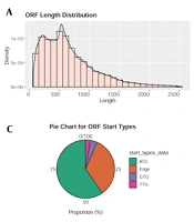 Jundishapur J Microbiol