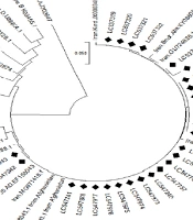 Jundishapur J Microbiol