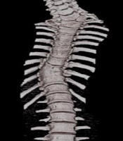 Arch Neurosci