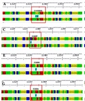 Jundishapur J Microbiol