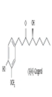 Curcumin Inhibited Endothelin-1 mRNA Expression Induced by TGF-β in Bovine Aortic Endothelial Cell