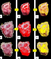 J Skin Stem Cell