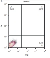 Gene Cell Tissue
