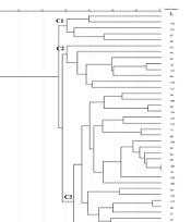 Jundishapur J Microbiol