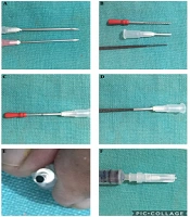 J Skin Stem Cell