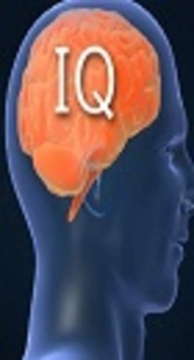 The Effect of Iron Deficiency on Intelligence Quotient in <b>Eight</b>- to Eleven-Year-Old Students of Zanjan, Iran