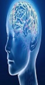 Brain Infection After Cesarean Section: A Case of Subdural Empyema Post-Cesarean Section
