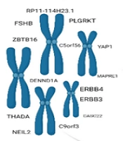 Int J Endocrinol Metab