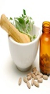 Herbal Medicines and Reactivation of Chronic Hepatitis B Virus Infection