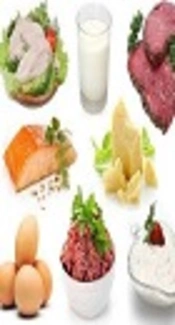 Protein-Rich Food, YouTube