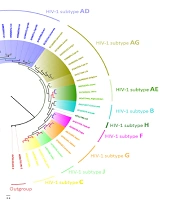 Jundishapur J Microbiol