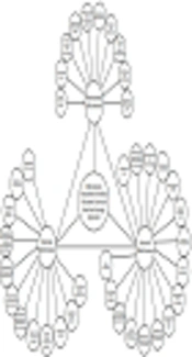 A Strategic Approach to the Effectiveness Evaluation of Higher Education Curricula: Implications for Medical Education