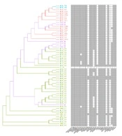 Jundishapur J Microbiol