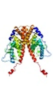 Association of <i>PvuII T&gt; C</i> and <i>XbaI</i> A&gt; G Polymorphisms of Estrogen Receptor α Gene with Uterine Leiomyoma: A Case-Control Study