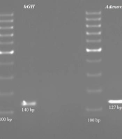 Jentashapir J Cell Mol Biol