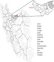 Archives of Clinical Infectious Diseases