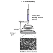 Jentashapir J Cell Mol Biol