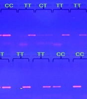 Jentashapir J Cell Mol Biol