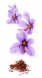https://www.crocus.co.uk/plants/_/crocus-sativus/classid.1000000346/