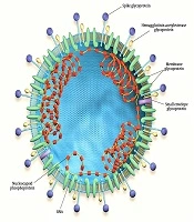 Archives of Clinical Infectious Diseases