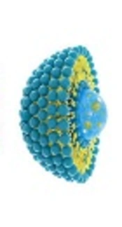 Transfollicular Drug Delivery Systems