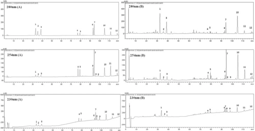 Typical chromatograms of the standard mixture (A) and WCA methanol extract (B) at 230, 254, 280 nm. (1) naringin; (2) hesperedin; (3) neohesperedin; (4) aloe-emodin; (5) rhein; (6) emodin; (7) honokiol; (8) dehydrodehydrocostus lactone; (9) costunolide; (10) magnolol; (11) chrysophanol; (12) physcion.