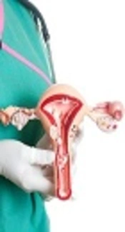 https://www.google.com/search?q=cervical+cancer&source=lnms&tbm=isch&sa=X&ved=0ahUKEwje7bLmu7XdAhVOZVAKHU30CdIQ_AUICigB&biw=1366&bih=631#imgrc=LvlvHnPKzD3_EM:
