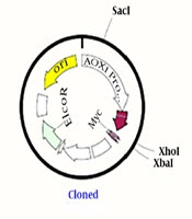 Jundishapur Journal of Microbiology