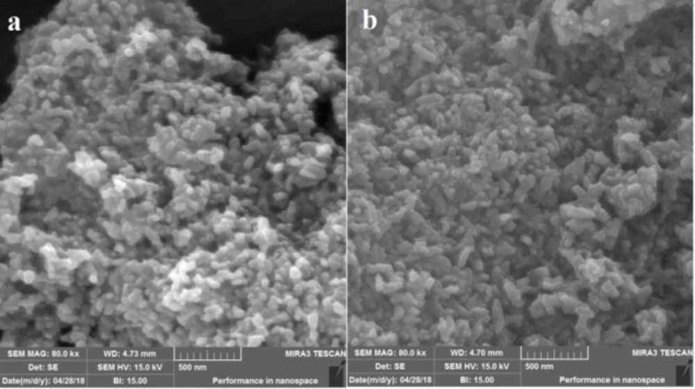 The SEM images of (a) MHANPs, (b) MHA-IBU particles