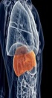 How Adequate Social Media Management Supports the Viral Hepatitis Elimination Program