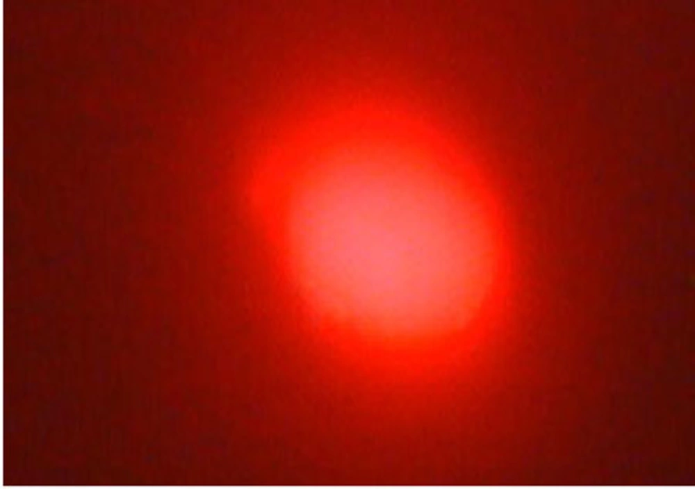 Microscopic Photograph 1 Score 0 Microscopic Photograph 1 Score 0