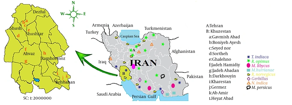 Location of Villages and Districts in Khuzestan Province, Iran, Where <i>T. indica</i> Was Sampled and Screened for <i>Leishmania</i> Infections Location of Villages and Districts in Khuzestan Province, Iran, Where <i>T. indica</i> Was Sampled and Screened for <i>Leishmania</i> Infections