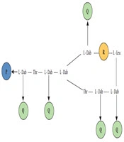 International Journal of Infection