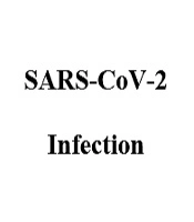 International Journal of Infection