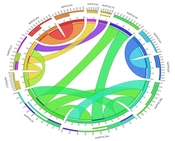 Jentashapir J Cell Mol Biol