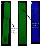 Jundishapur Journal of Natural Pharmaceutical Products
