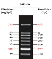 Jundishapur J Microbiol