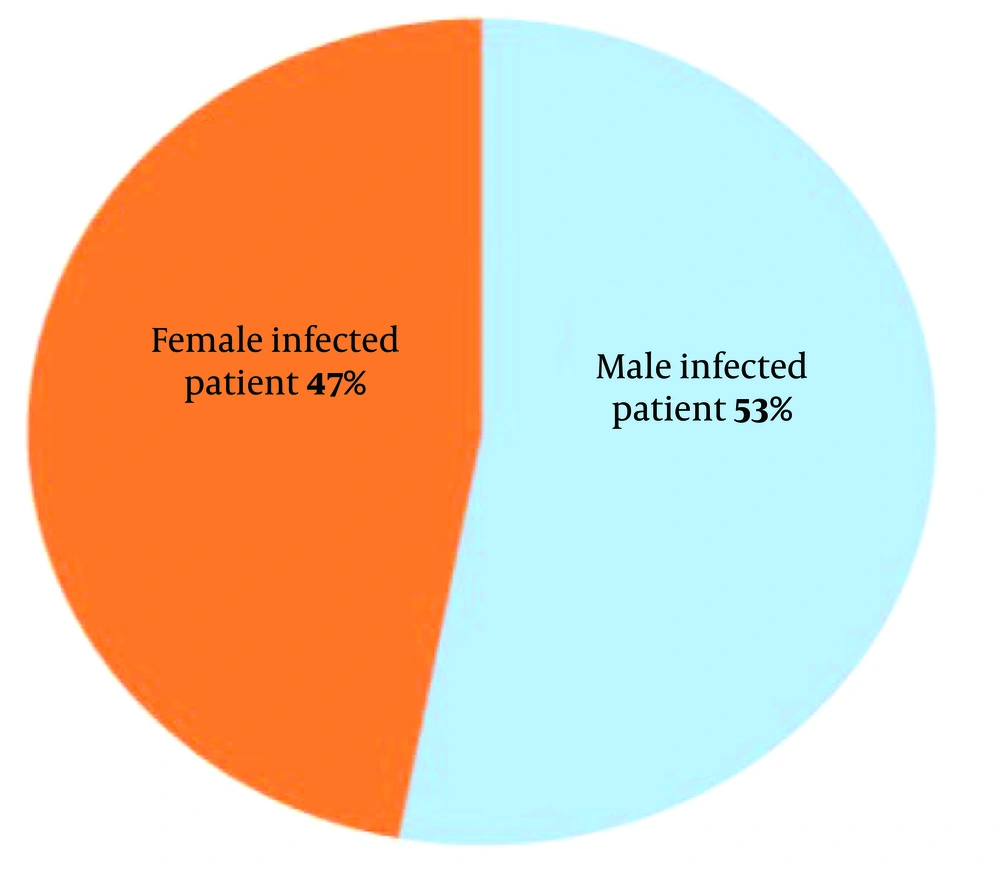Distribution of Sex in HAUTI Distribution of Sex in HAUTI