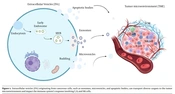 J Skin Stem Cell
