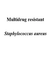 Jundishapur Journal of Natural Pharmaceutical Products